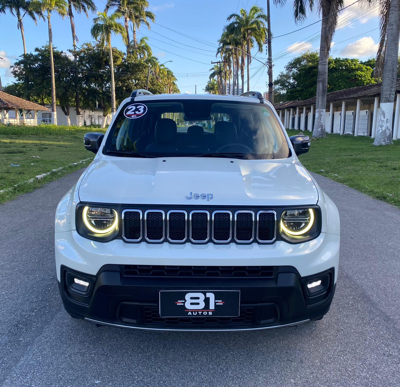 JEEP         RENEGADE