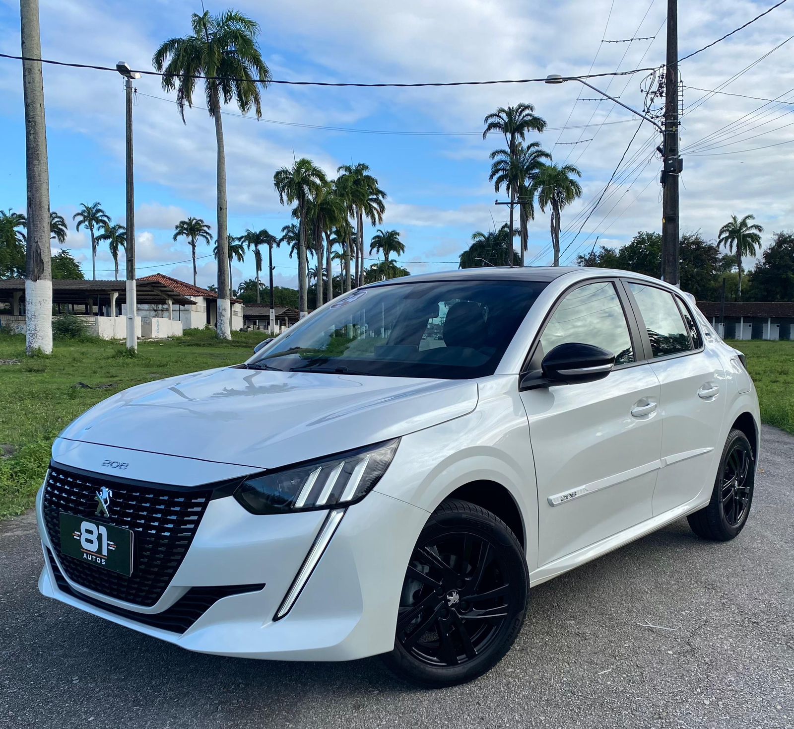 PEUGEOT         208